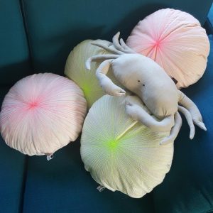 coussins oursins fluo, crabe repose-tête, crustacean, seaworld, 