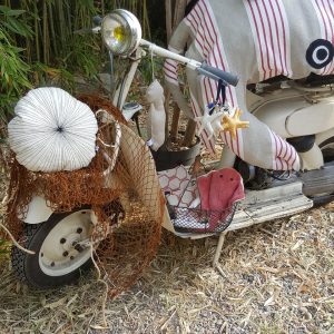 c crabe, portes-clés, hippocampe à suspendreoussin oursin, pouf