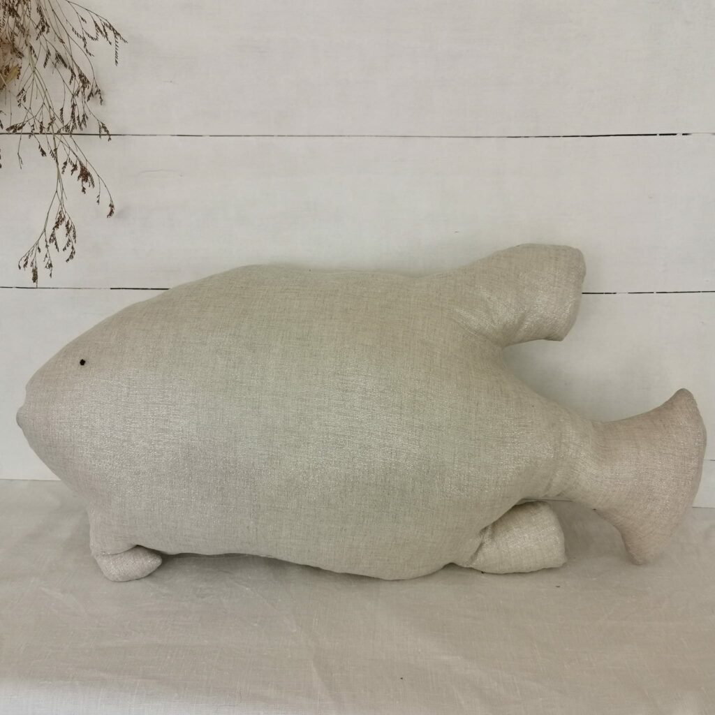 le gros coussin poisson