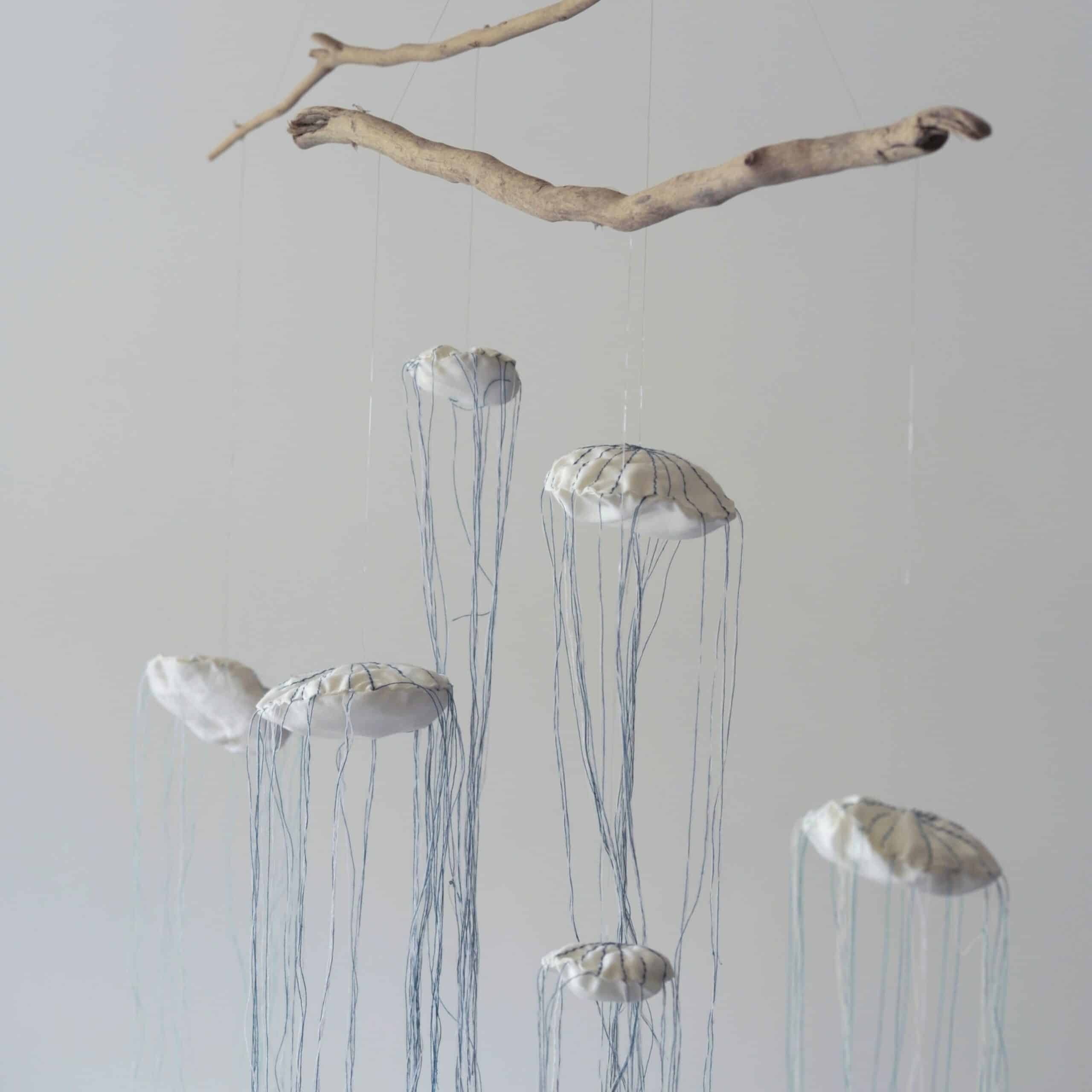 meduses-